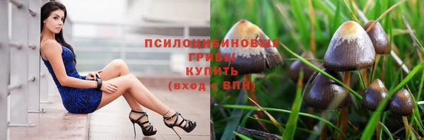 таблы Алзамай