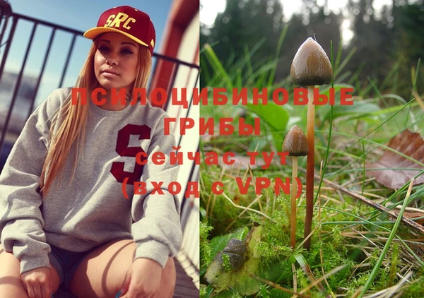 прущие крисы Алексеевка