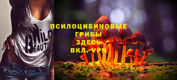 винт Алексин