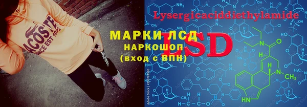 дурь Лабытнанги