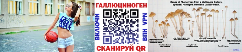 Галлюциногенные грибы Cubensis купить цена мега онион darknet клад Томск
