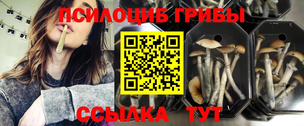 Томск  Галлюциногенные грибы мицелий  Вход с VPN 